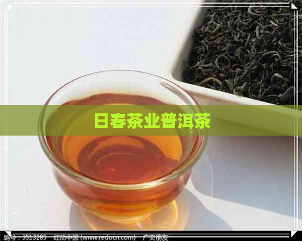 日春茶业普洱茶