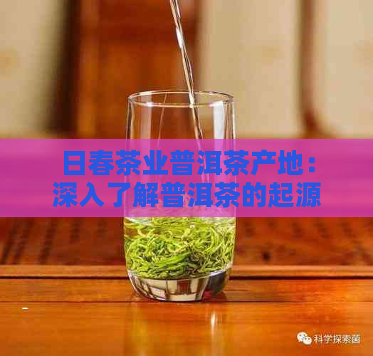 日春茶业普洱茶产地：深入了解普洱茶的起源、制作工艺及品质保障