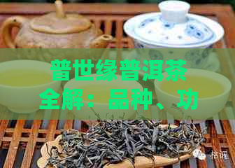 普世缘普洱茶全解：品种、功效、冲泡方法与品鉴技巧一应俱全