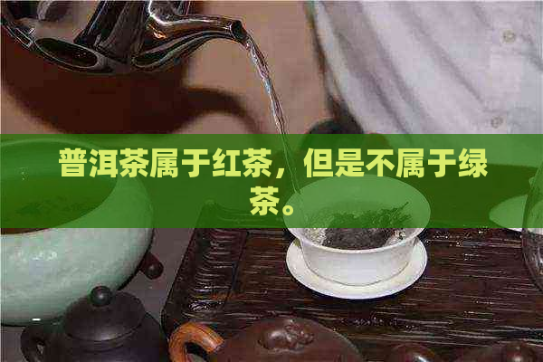 普洱茶属于红茶，但是不属于绿茶。