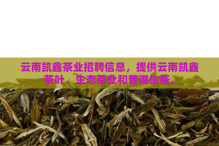 云南凯鑫茶业招聘信息，提供云南凯鑫茶叶、生态茶业和普洱生茶。