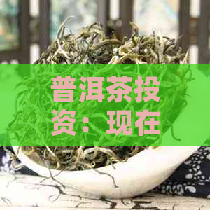 普洱茶投资：现在是否值得囤积？