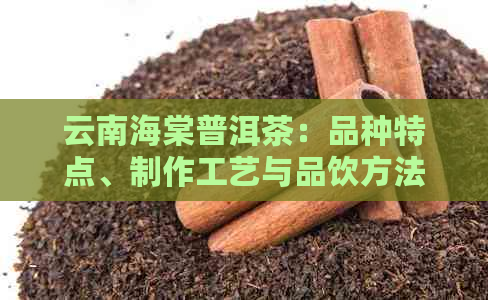 云南海棠普洱茶：品种特点、制作工艺与品饮方法全面解析