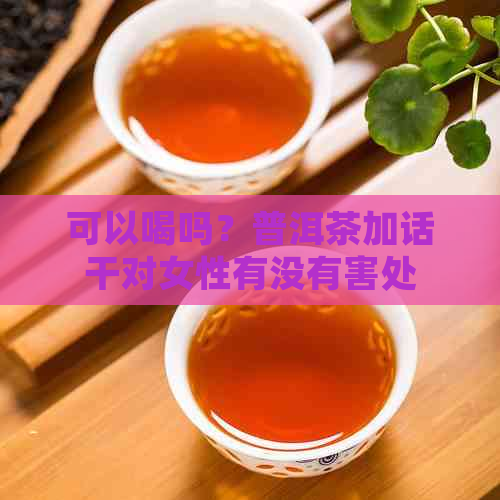 可以喝吗？普洱茶加话干对女性有没有害处？