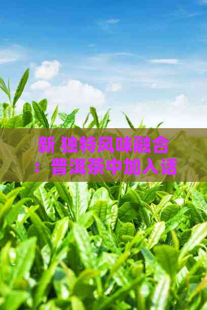 新 独特风味融合：普洱茶中加入话干的口感体验