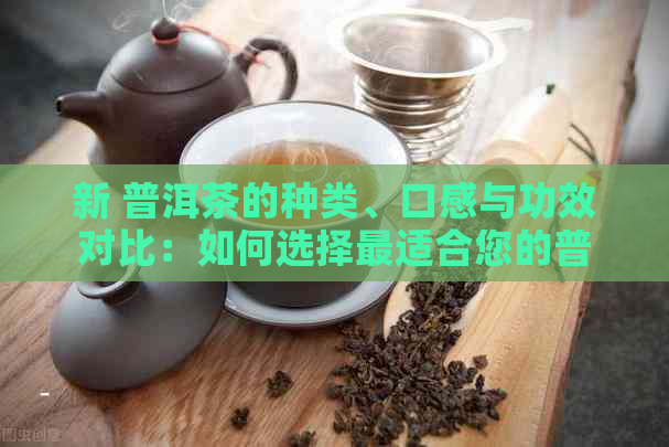 新 普洱茶的种类、口感与功效对比：如何选择最适合您的普洱茶？