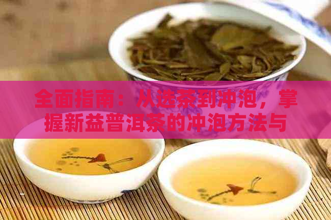 全面指南：从选茶到冲泡，掌握新益普洱茶的冲泡方法与口感体验