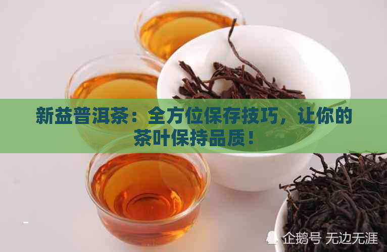 新益普洱茶：全方位保存技巧，让你的茶叶保持品质！