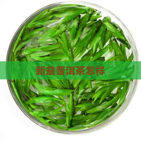 新益普洱茶怎样