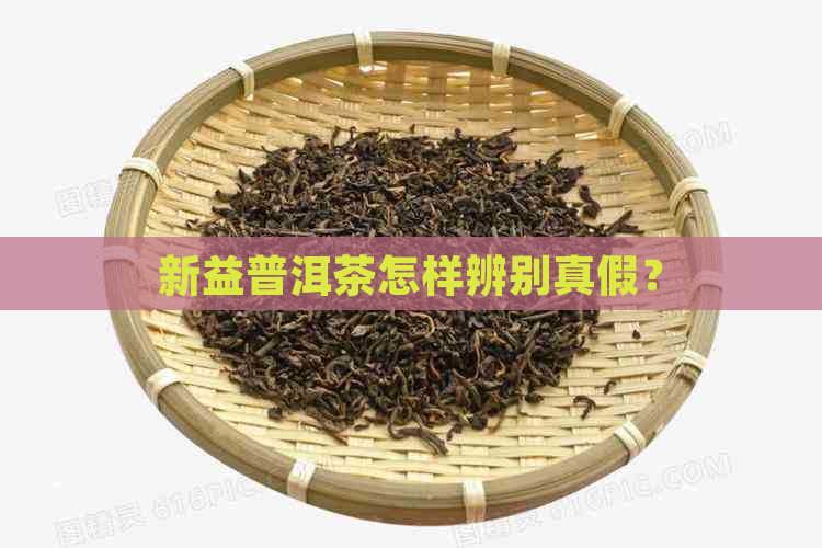 新益普洱茶怎样辨别真假？