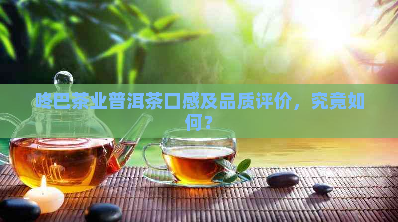 咚巴茶业普洱茶口感及品质评价，究竟如何？