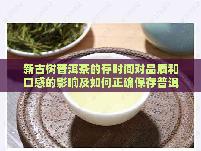 新古树普洱茶的存时间对品质和口感的影响及如何正确保存普洱茶