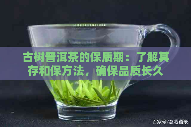 古树普洱茶的保质期：了解其存和保方法，确保品质长久