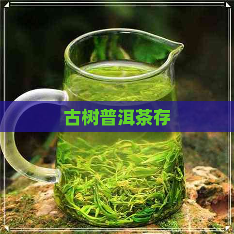 古树普洱茶存