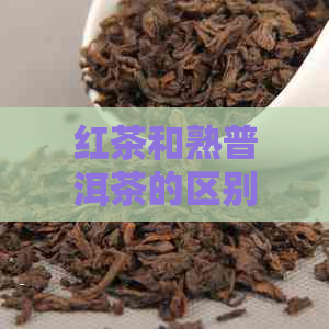 红茶和熟普洱茶的区别：品种、口感、功效与冲泡方法全面解析