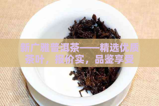 新广雅普洱茶——精选优质茶叶，报价实，品鉴享受