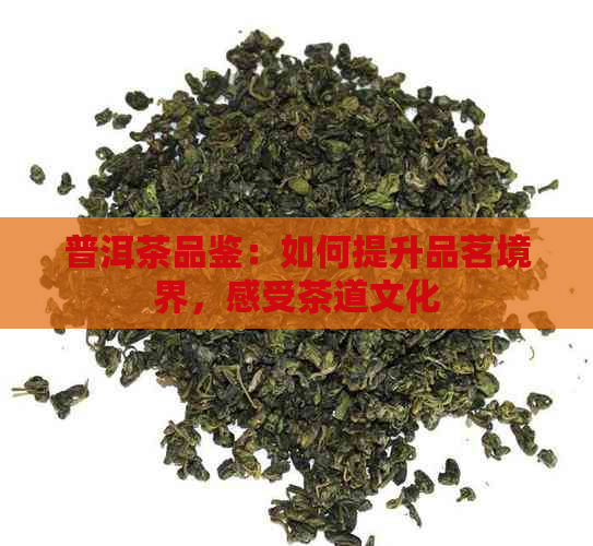 普洱茶品鉴：如何提升品茗境界，感受茶道文化