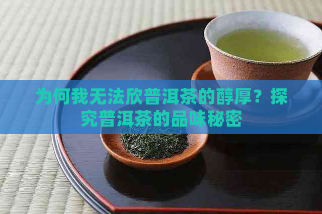 为何我无法欣普洱茶的醇厚？探究普洱茶的品味秘密