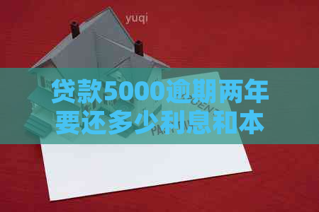 贷款5000逾期两年要还多少利息和本金：完整解答与计算