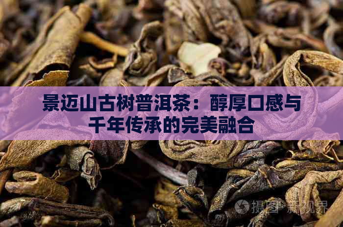 景迈山古树普洱茶：醇厚口感与千年传承的完美融合