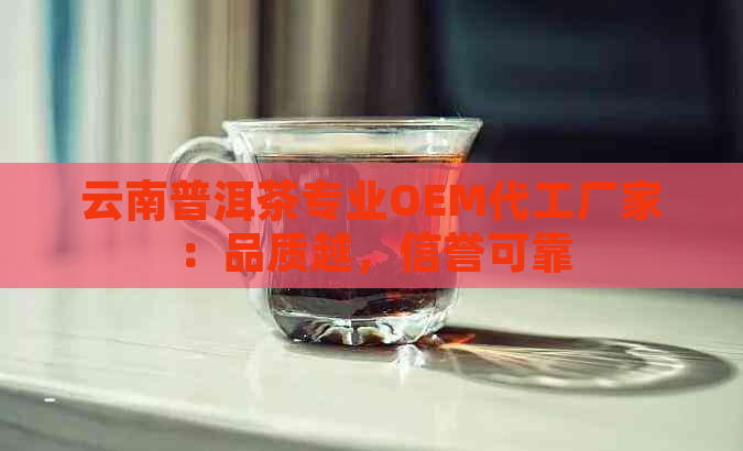 云南普洱茶专业OEM代工厂家：品质越，信誉可靠