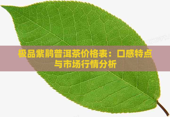 极品紫鹃普洱茶价格表：口感特点与市场行情分析