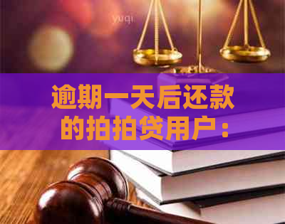 逾期一天后还款的用户：再借款将面临困难