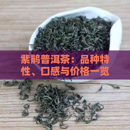 紫鹃普洱茶：品种特性、口感与价格一览