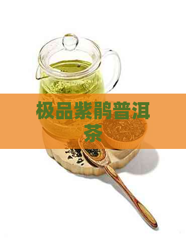 极品紫鹃普洱茶