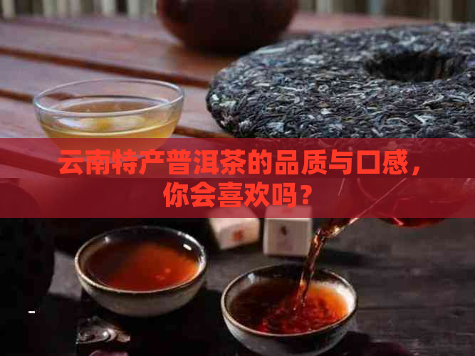 云南特产普洱茶的品质与口感，你会喜欢吗？