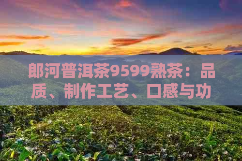 郎河普洱茶9599熟茶：品质、制作工艺、口感与功效全面解析