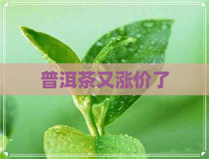 普洱茶又涨价了