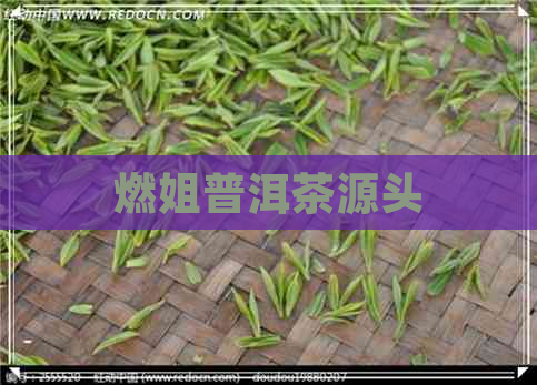 燃姐普洱茶源头