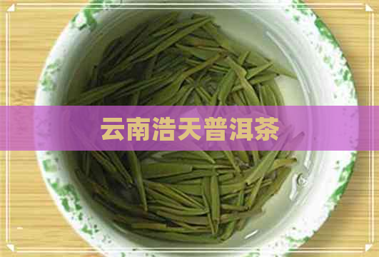 云南浩天普洱茶