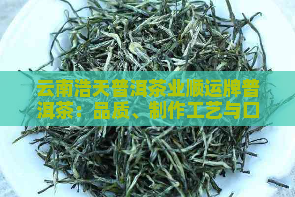 云南浩天普洱茶业顺运牌普洱茶：品质、制作工艺与口感全面解析