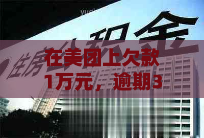 在美团上欠款1万元，逾期3个月是否会被起诉？逾期后果及应对方法解答