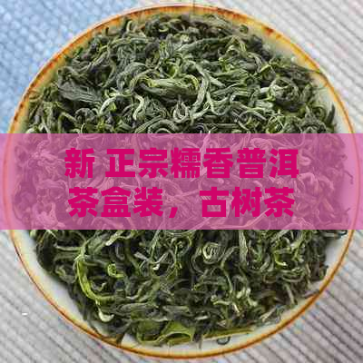 新 正宗糯香普洱茶盒装，古树茶报价与口感对比分析