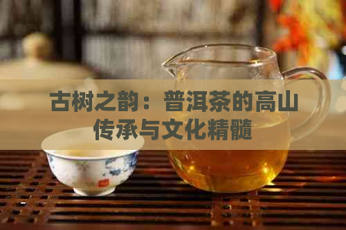 古树之韵：普洱茶的高山传承与文化精髓