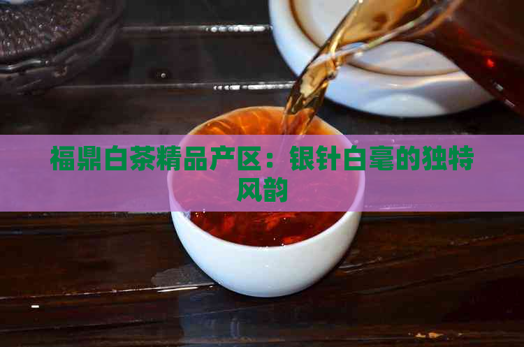 福鼎白茶精品产区：银针白毫的独特风韵