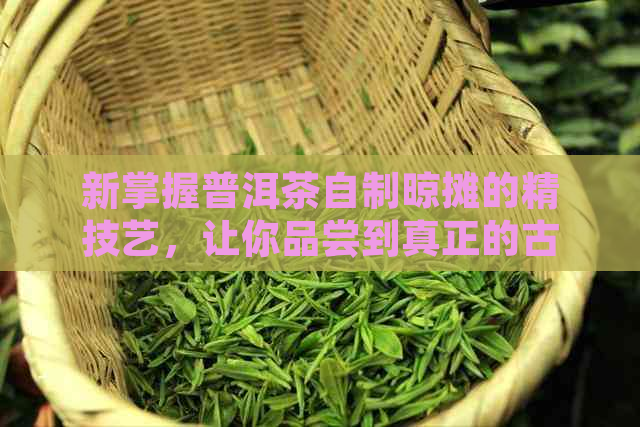 新掌握普洱茶自制晾摊的精技艺，让你品尝到真正的古树普洱之韵