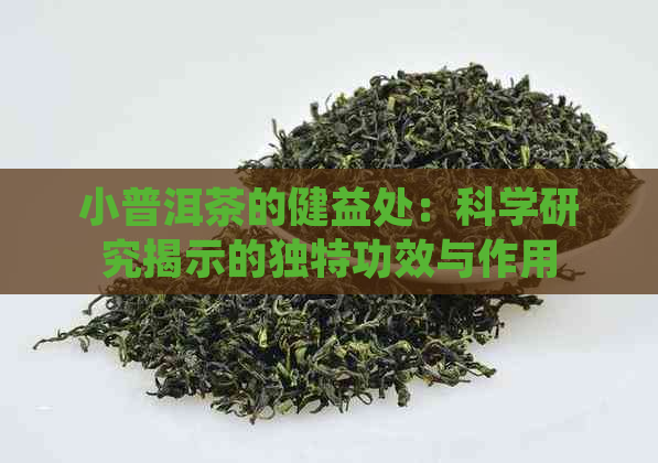 小普洱茶的健益处：科学研究揭示的独特功效与作用