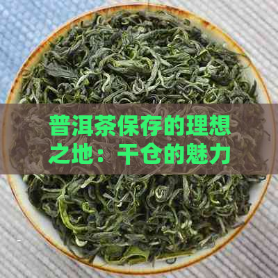 普洱茶保存的理想之地：干仓的魅力与奥秘