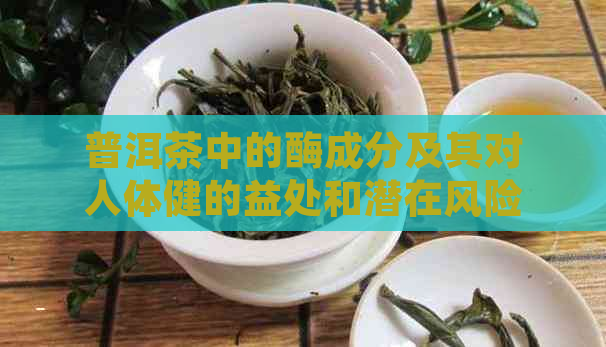 普洱茶中的酶成分及其对人体健的益处和潜在风险