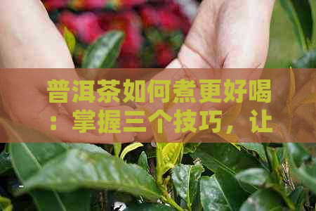 普洱茶如何煮更好喝：掌握三个技巧，让茶香四溢