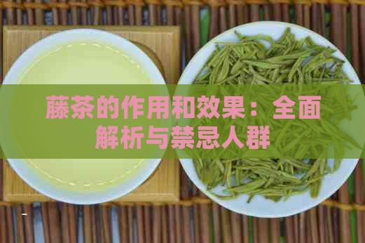 藤茶的作用和效果：全面解析与禁忌人群