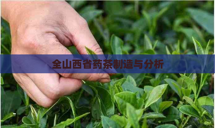 全山西省药茶制造与分析