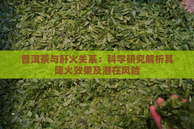 普洱茶与肝火关系：科学研究解析其降火效果及潜在风险