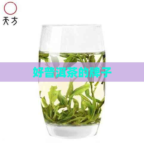 好普洱茶的牌子