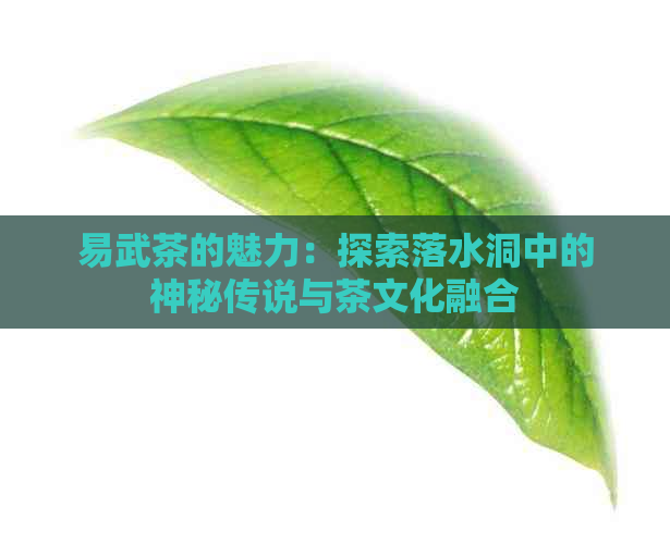 易武茶的魅力：探索落水洞中的神秘传说与茶文化融合