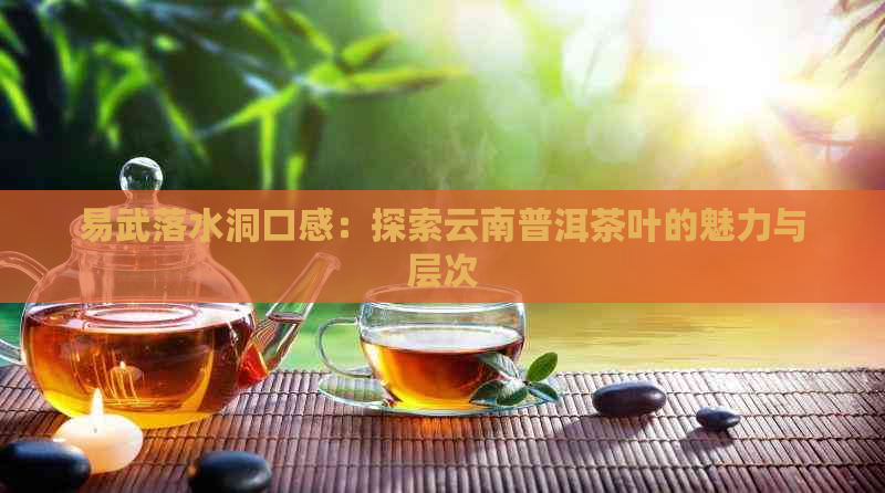 易武落水洞口感：探索云南普洱茶叶的魅力与层次